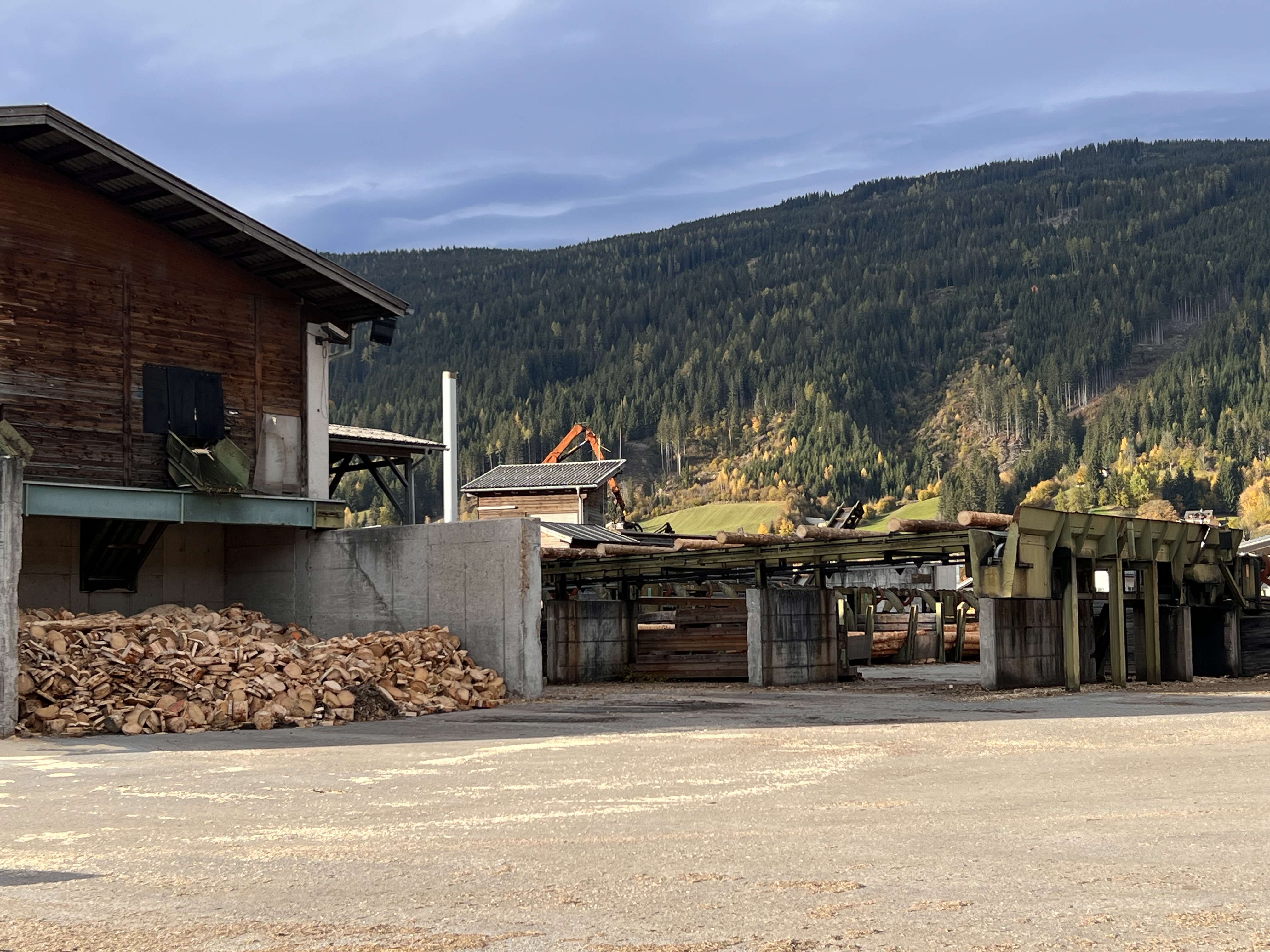 Log sorting plant with debarker - Image 6