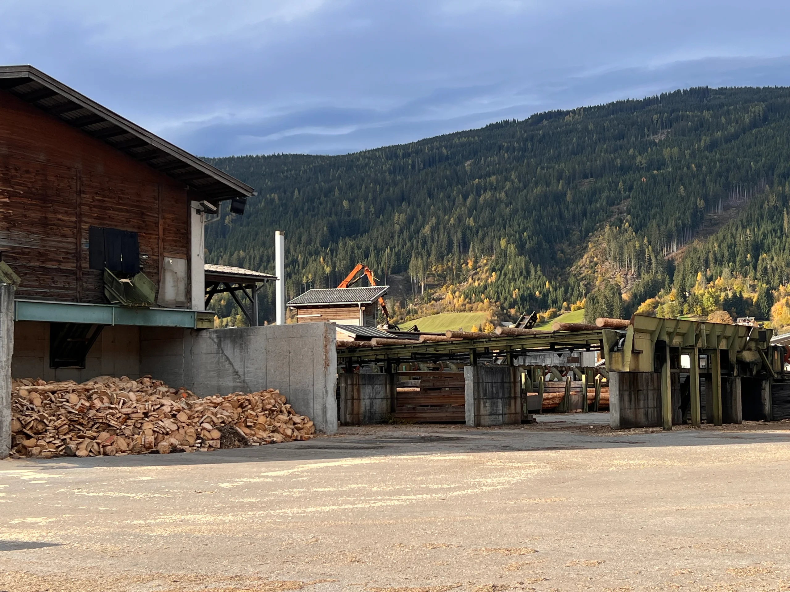 Log sorting plant with debarker - Image 6