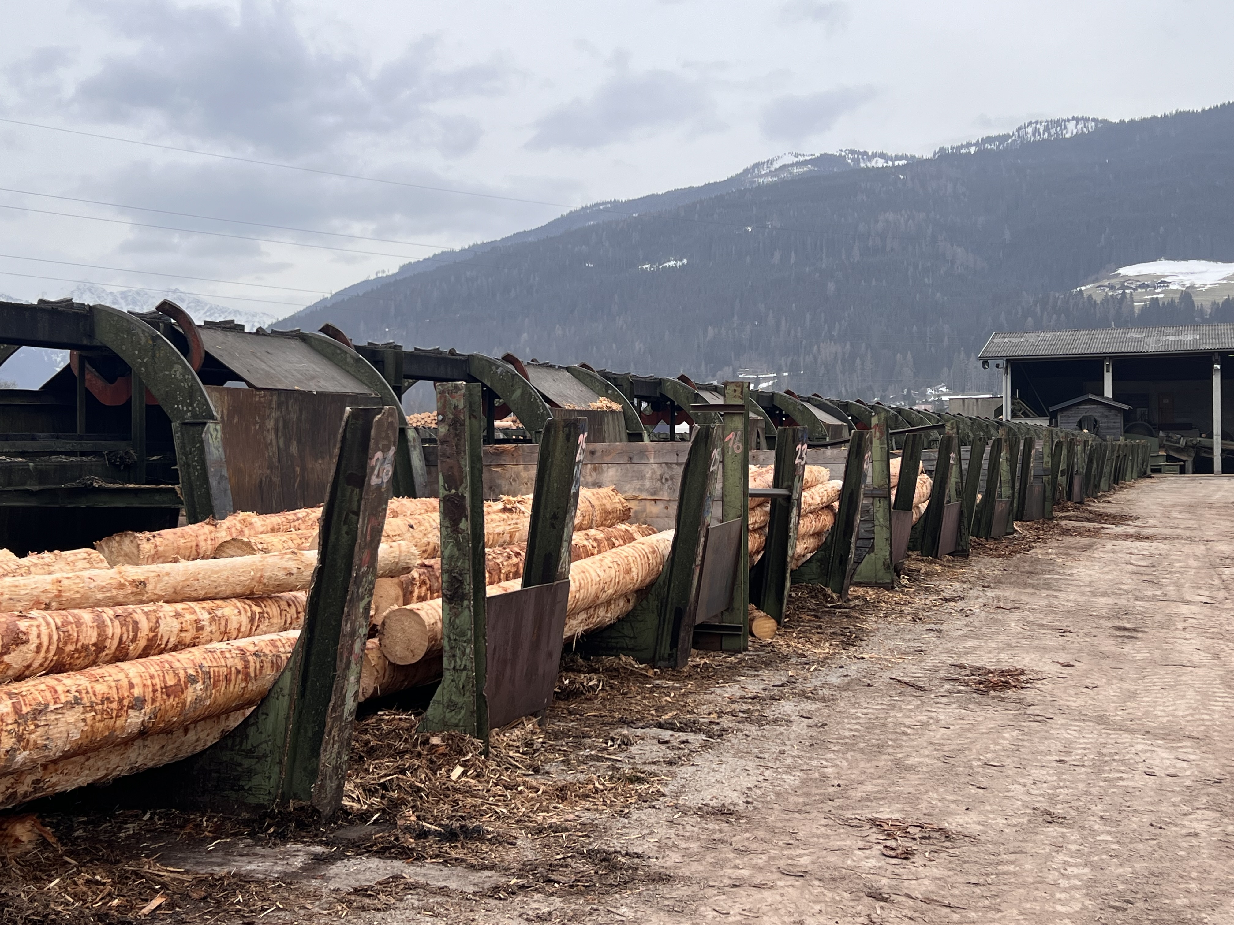 Log sorting plant with debarker - Image 13